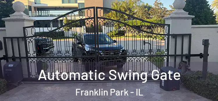  Automatic Swing Gate Franklin Park - IL