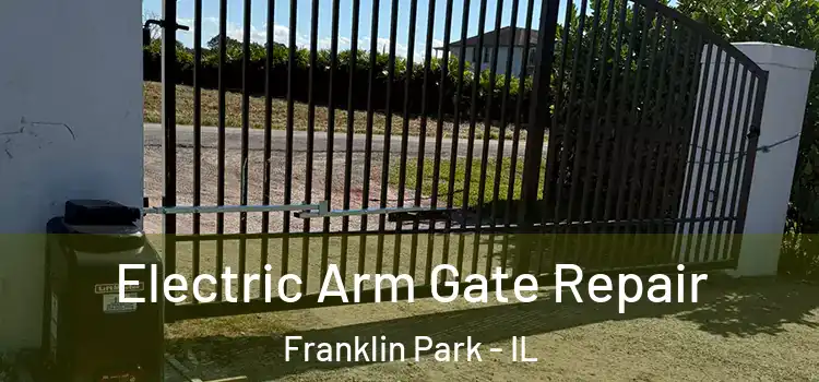 Electric Arm Gate Repair Franklin Park - IL