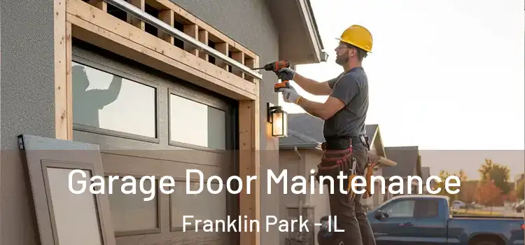  Garage Door Maintenance Franklin Park - IL