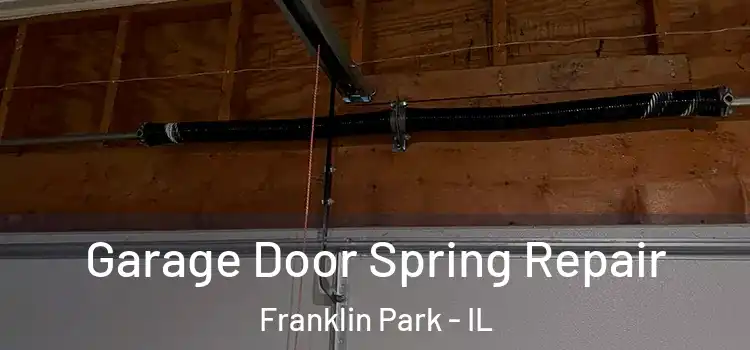  Garage Door Spring Repair Franklin Park - IL