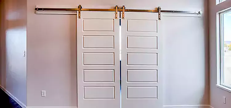 Glass Barn Door with Installation Hardware Kit Franklin Park