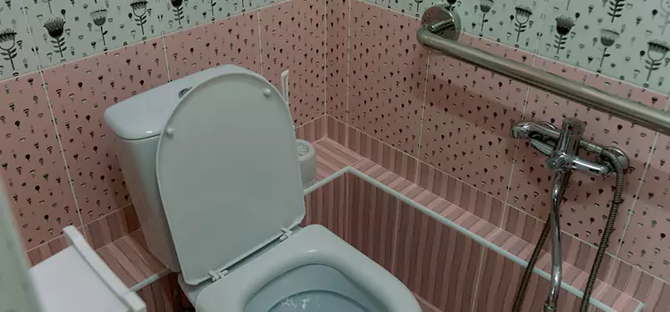 Meeting Diverse Needs With Accessible Restroom Solutions in Franklin Park, IL