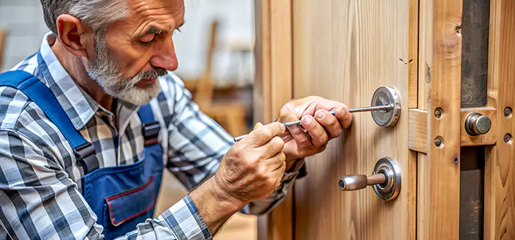Mortise Replacement Lock Franklin Park