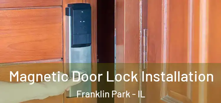  Magnetic Door Lock Installation Franklin Park - IL