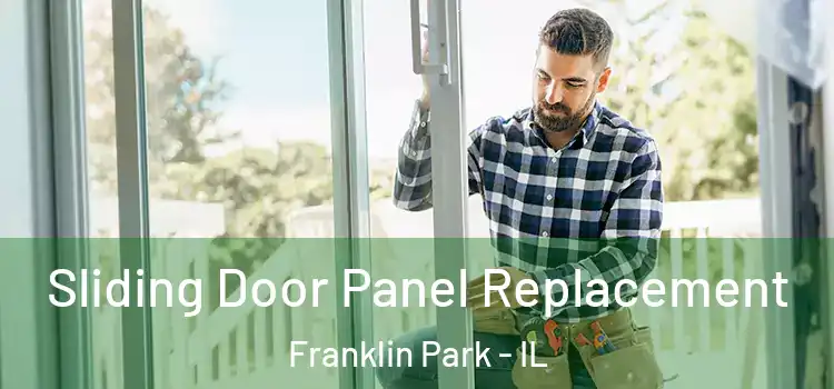  Sliding Door Panel Replacement Franklin Park - IL