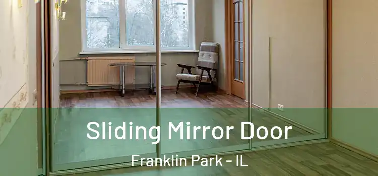  Sliding Mirror Door Franklin Park - IL